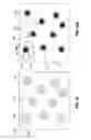 Fig. 14 - Polymer nanoparticles for controlling resin reaction rates