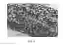 Fig. 07 - Thermoformed polymeric foam articles and methods