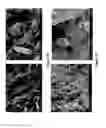 Fig. 12 - Multi additive multifunctional composite for use in a non-metallic fuel conveyance system