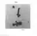 Fig. 06 - Chemical mechanical planarization slurry composition comprising composite particles, process for removing material using said composition, CMP polishing pad and process for preparing said composition