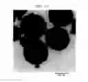 Fig. 10 - Chemical mechanical planarization slurry composition comprising composite particles, process for removing material using said composition, CMP polishing pad and process for preparing said composition