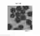 Fig. 12 - Chemical mechanical planarization slurry composition comprising composite particles, process for removing material using said composition, CMP polishing pad and process for preparing said composition