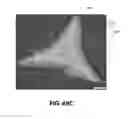 Fig. 24 - Abrasive particles having complex shapes and methods of forming same