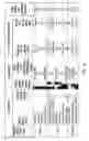 Fig. 29 - Materials and methods for characterizing and using KASIII for production of bi-functional fatty acids