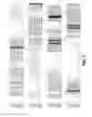 Fig. 02 - Modified polymerases for improved incorporation of nucleotide analogues
