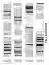 Fig. 03 - Modified polymerases for improved incorporation of nucleotide analogues