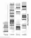 Fig. 04 - Modified polymerases for improved incorporation of nucleotide analogues