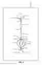 Fig. 05 - Device for preparation and analysis of nucleic acids