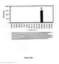 Fig. 27 - Compositions for and methods of identifying antigens