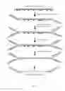 Fig. 06 - Oligonucleotide replacement for di-tagged and directional libraries