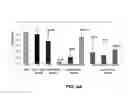 Fig. 05 - Lipid Formulated Compositions And Methods For Inhibiting Expression Of Transthyretin (TTR)