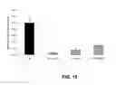 Fig. 25 - Lipid Formulated Compositions And Methods For Inhibiting Expression Of Transthyretin (TTR)