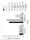 Fig. 09 - Composition and method for inner ear sensory hair cell regeneration and replacement
