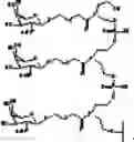 Fig. 103 - Compositions and methods for modulating apolipoprotein C-III expression