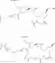 Fig. 141 - Compositions and methods for modulating apolipoprotein C-III expression