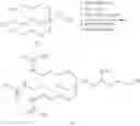 Fig. 277 - Compositions and methods for modulating apolipoprotein C-III expression