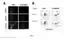 Fig. 10 - Antisense compounds and uses thereof