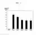Fig. 02 - COMPOSITION FOR EXTERNAL APPLICATION COMPRISING TRANSCRIPTION FACTOR DECOY AS ACTIVE INGREDIENT