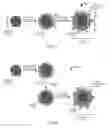 Fig. 02 - DELIVERY PLATFORMS FOR THE DOMESTICATION OF ALGAE AND PLANTS