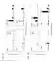 Fig. 08 - Replication-competent adenoviral vectors