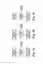Fig. 06 - System for management of yeast to facilitate the production of ethanol