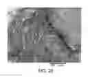 Fig. 30 - Processing biomass