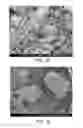 Fig. 34 - Processing biomass