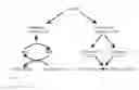 Fig. 03 - Method for producing natively folded proteins in a prokaryotic host