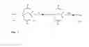 Fig. 02 - Synthesis of cleavable fluorescent nucleotides as reversible terminators for DNA sequencing by synthesis