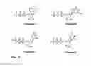 Fig. 07 - Synthesis of cleavable fluorescent nucleotides as reversible terminators for DNA sequencing by synthesis