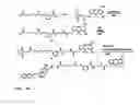 Fig. 16 - Synthesis of cleavable fluorescent nucleotides as reversible terminators for DNA sequencing by synthesis