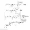 Fig. 18 - Synthesis of cleavable fluorescent nucleotides as reversible terminators for DNA sequencing by synthesis