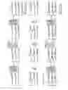 Fig. 29 - Synthesis of cleavable fluorescent nucleotides as reversible terminators for DNA sequencing by synthesis