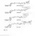Fig. 34 - Synthesis of cleavable fluorescent nucleotides as reversible terminators for DNA sequencing by synthesis
