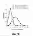 Fig. 13 - Methods for identifying a target site of a CAS9 nuclease