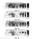 Fig. 17 - Methods for identifying a target site of a CAS9 nuclease