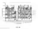 Fig. 06 - Phased Genome Sequencing