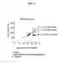 Fig. 11 - Prediction of effect of a c-Met inhibitor using mutation of KRAS or BRAF