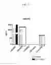 Fig. 18 - Prediction of effect of a c-Met inhibitor using mutation of KRAS or BRAF
