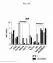 Fig. 21 - Prediction of effect of a c-Met inhibitor using mutation of KRAS or BRAF