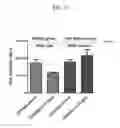 Fig. 30 - Prediction of effect of a c-Met inhibitor using mutation of KRAS or BRAF
