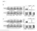 Fig. 06 - Pharmacogenomic Biomarkers for B Cell Malignancies and Methods of Use Thereof