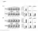 Fig. 07 - Pharmacogenomic Biomarkers for B Cell Malignancies and Methods of Use Thereof