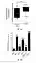 Fig. 09 - METHODS OF PROGNOSTICALLY CLASSIFYING AND TREATING GLANDULAR CANCERS
