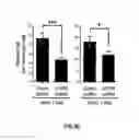Fig. 11 - METHODS OF PROGNOSTICALLY CLASSIFYING AND TREATING GLANDULAR CANCERS