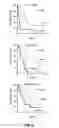 Fig. 21 - METHODS OF PROGNOSTICALLY CLASSIFYING AND TREATING GLANDULAR CANCERS