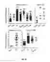 Fig. 22 - METHODS OF PROGNOSTICALLY CLASSIFYING AND TREATING GLANDULAR CANCERS