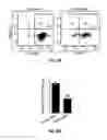 Fig. 31 - METHODS OF PROGNOSTICALLY CLASSIFYING AND TREATING GLANDULAR CANCERS