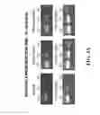 Fig. 07 - Method for the concentration and detection of virus