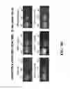 Fig. 08 - Method for the concentration and detection of virus